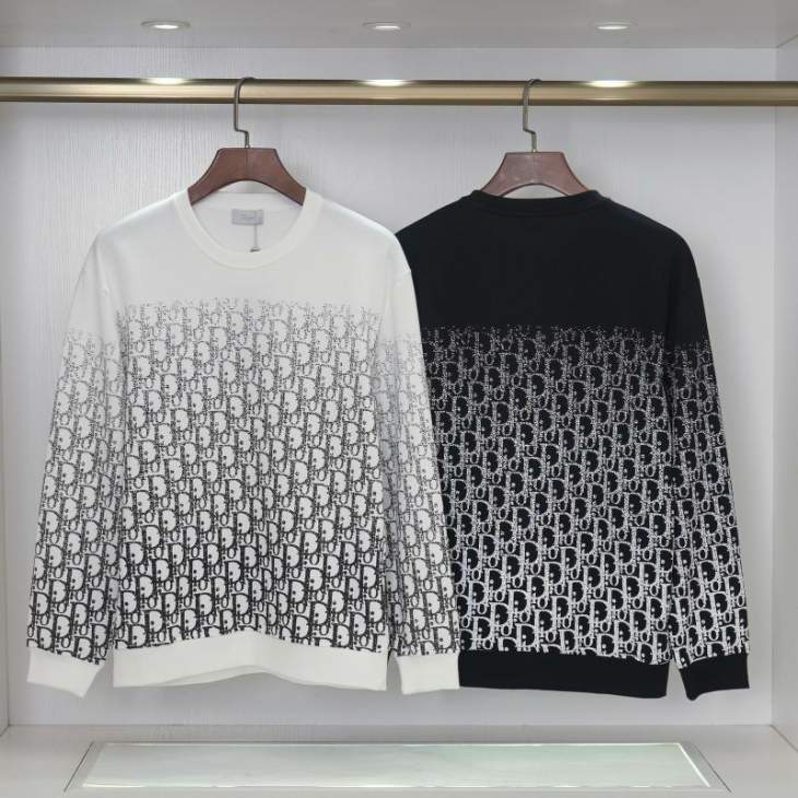 Picture of Dior Sweatshirt _SKUDiorM-3XLyztxF0931706